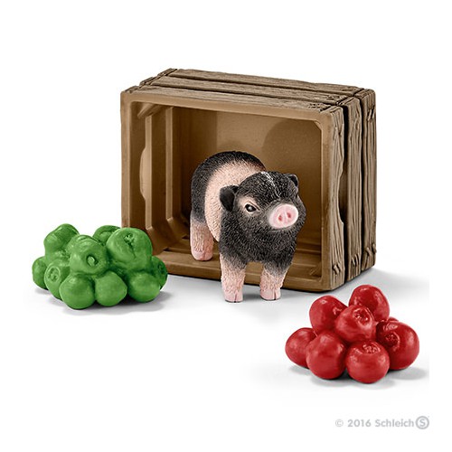 MiniPig with Apples. Toy Sense