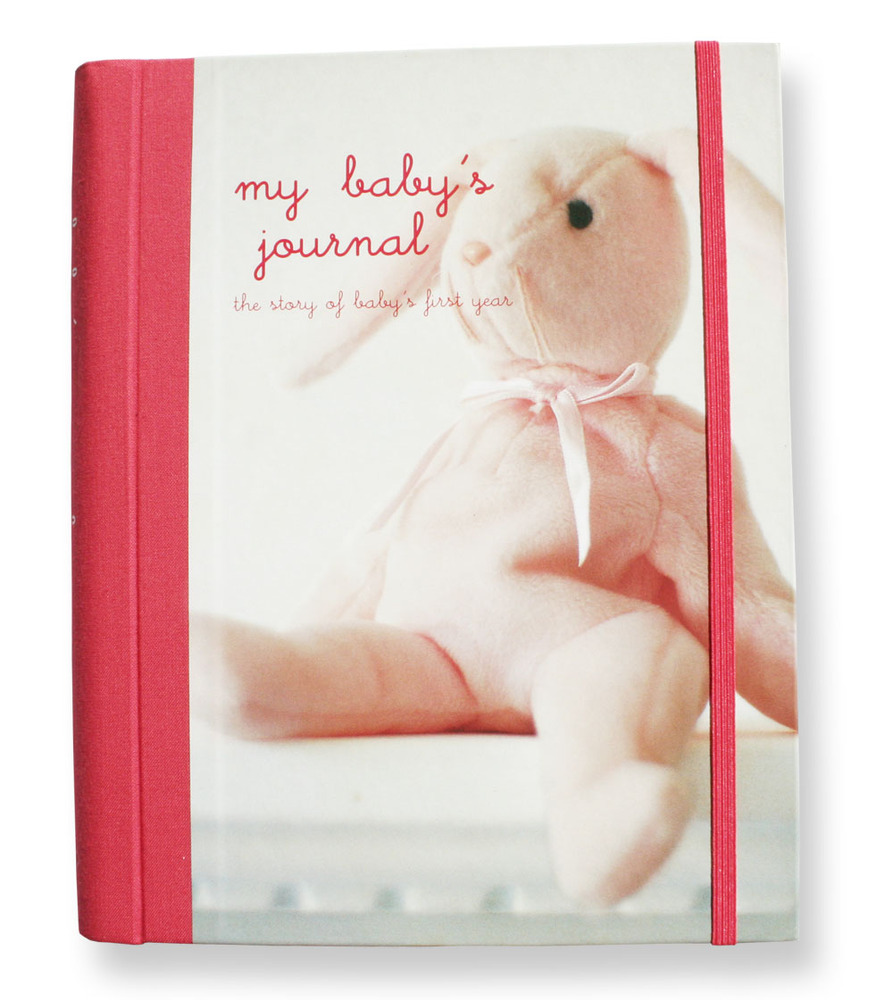 My Baby's Journal The Story of Baby's First Year Pink Toy Sense
