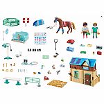 Horses of Waterfall: Riding Therapy and Veterinarian Practice