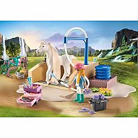 Horses of Waterfall: Washing Station with Isabella and Lioness