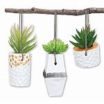 Make Your Own Hanging Planters  - Retired