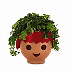 OJO Table Planter: Red - Retired  
