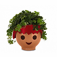 OJO Table Planter: Red - Retired  