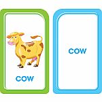 Picture Words Flashcards