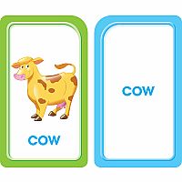 Picture Words Flashcards