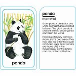 Animals of All Kinds Flash Cards 