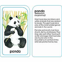 Animals of All Kinds Flash Cards 