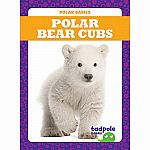 Polar Bear Cubs - Polar Babies  