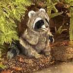 Raccoon Puppet 