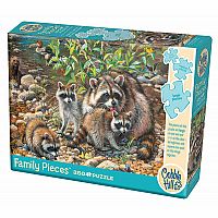 Raccoon Family - Family - Cobble Hill.