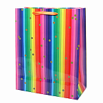 Rainbow Stripes Gift Bag Medium