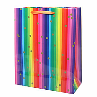 Rainbow Stripes Gift Bag Small 