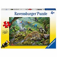 Rainforest Animals - Ravensburger.  