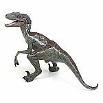 Velociraptor