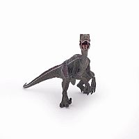 Velociraptor  