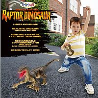 Remote Control - Raptor Dinosaur.