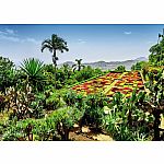 Beautiful Gardens - Botanical Gardens Madeira - Ravensburger