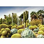 Beautiful Gardens -The Huntington Desert Garden Californa - Ravensburger