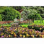 Beautiful Gardens - Keukenhof Gardens Netherlands - Ravensburger