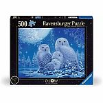 Glow in the Dark : Owls in Moonlight 