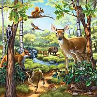 Forest / Zoo / Domestic Animals Set of 3 - Ravensburger 
