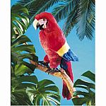 Scarlet Macaw Puppet