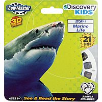 Discover Kids - Marine Life  