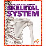Skeletal System - Amazing Body Systems  