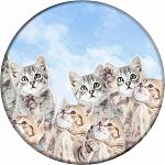 Sky Kitties PopSocket