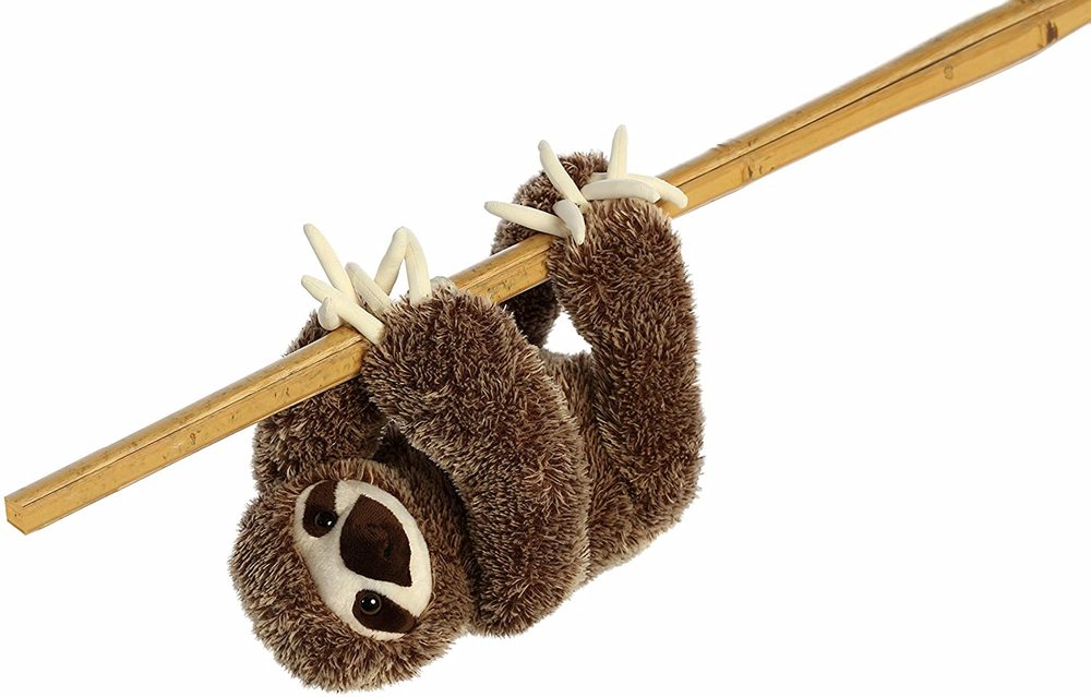 destination nation sloth