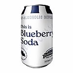 Sleeping Giant Brewing Company: Blueberry Soda