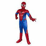 Marvel's Spider-Man Deluxe Youth Costume - Small   