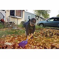 Leaf Rake 