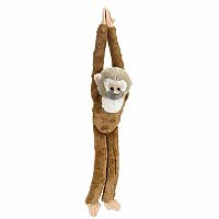 Hanging Squirrel Monkey
