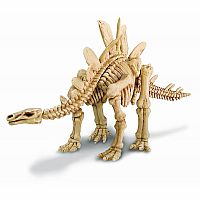 Dig a Dinosaur Skeleton - Stegosaurus.