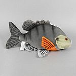 Sunfish - 12.5 inch