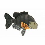 Sunfish - 7 inch.