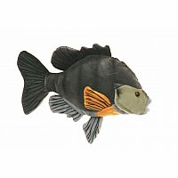 Sunfish - 7 inch.