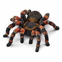 Tarantula.