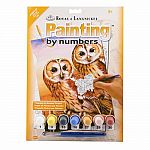 Paint by Number - Tawny Owls  