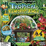 Tropical Rainforest Jungle Biosphere Terrarium 