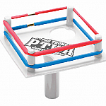 Pro Thumb Wrestling Arena.