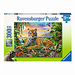 Tiger at Sunset - Ravensburger.