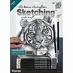 Sketching Made Easy -  Tiger 