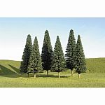 Pine Trees - 5 to 6 inch
