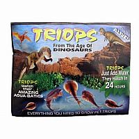 Triops - Eggs and Food Refill.