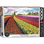 Tulip Fields - Eurographics