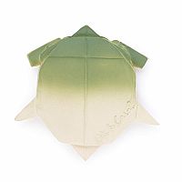 Oli & Carol H2Origami Turtle