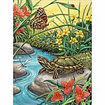 Painting By Numbers - Red Eared Slider