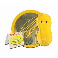 Giant Microbes - Ulcer 